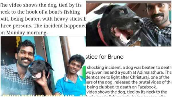 ಆಟವಾಡುತ್ತಿದ್ದ ನಾಯಿಯನ್ನು ಹೊಡೆದು ಸಾಯಿಸಿದ ಯುವಕರು