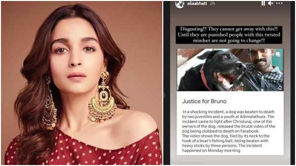 ಕಠಿಣ ಶಿಕ್ಷೆ ನೀಡದಿದ್ದರೆ ಇಂಥವರು ಬದಲಾಗಲ್ಲ- ಅಲಿಯಾ