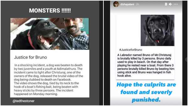 ದಿಶಾ ಪಟಾನಿ- ಅನುಷ್ಕಾ ಶರ್ಮಾ ಪ್ರತಿಕ್ರಿಯೆ 