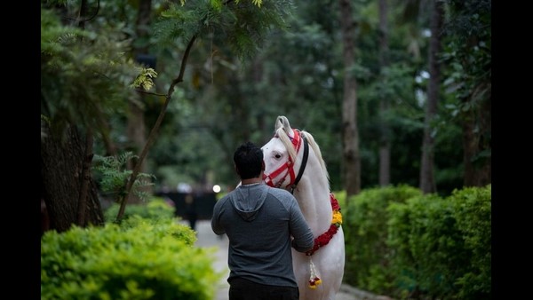ತೋಟದ ಮನೆ ಕೆಲಸದಲ್ಲಿ ದರ್ಶನ್ ಮಗ್ನ