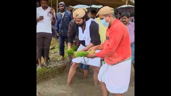 Actor Rakshit Shetty Planted Paddy In Udupi Actor Rakshit Shetty Planted Paddy In Udupi