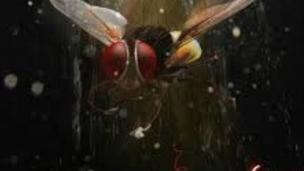 9 ವರ್ಷದ ಸಂಭ್ರಮದಲ್ಲಿ 'ಈಗ'