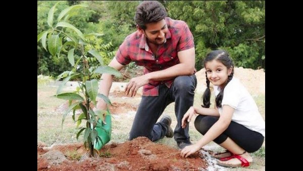 ಸಸಿ ನೆಡುವಂತೆ ಅಭಿಮಾನಿಗಳಲ್ಲಿ ಮನವಿ 