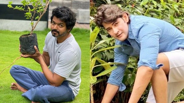 ಗ್ರೀನ್ ಇಂಡಿಯಾ ಚಾಲೆಂಜ್ ಸ್ವೀಕರಿಸಿದ್ದ ಮಹೇಶ್