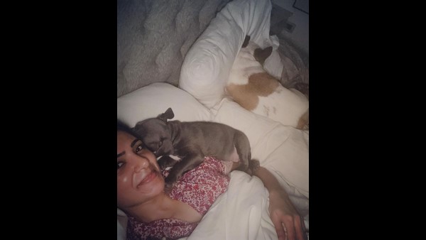 ತಿರುಪತಿಗೆ ಭೇಟಿ ನೀಡಿದ್ದ ಸಮಂತಾ