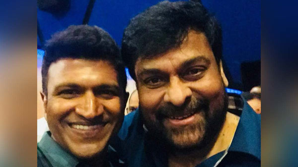 ರಾಜ್‌ಕುಮಾರ್ ಕುಟುಂಬಕ್ಕೆ ಸಮಸ್ಯೆ ಇದೆ: ಚಿರಂಜೀವಿ