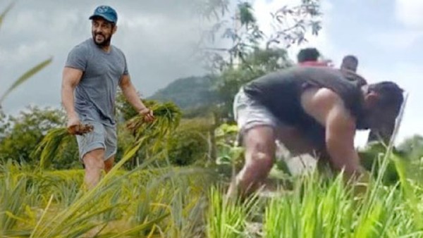 Salman Khan has been bitten by a non venomous snake at his farmhouse Salman Khan has been bitten by a non venomous snake at his farmhouse