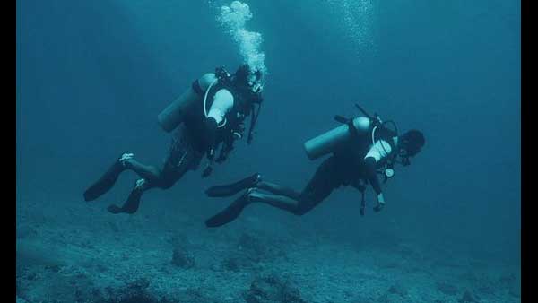 ಸ್ಕೂಬಾ ಡೈವ್ ಮಾಡಿ ಮೂಕ ವಿಸ್ಮಿತರಾಗಿದ್ದರು ಸ್ಕೂಬಾ ಡೈವ್ ಮಾಡಿ ಮೂಕ ವಿಸ್ಮಿತರಾಗಿದ್ದರು