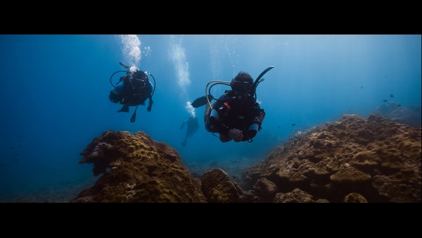 ನಿಸರ್ಗಕ್ಕೆ ತೊಂದರೆ ಕೊಟ್ಟರೆ ನಮಗೇ ತೊಂದರೆ: ಶಿವಣ್ಣ 