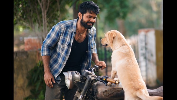 ರಕ್ಷಿತ್ ಶೆಟ್ಟಿಯ ಎರಡು ಸಿನಿಮಾಗಳು 