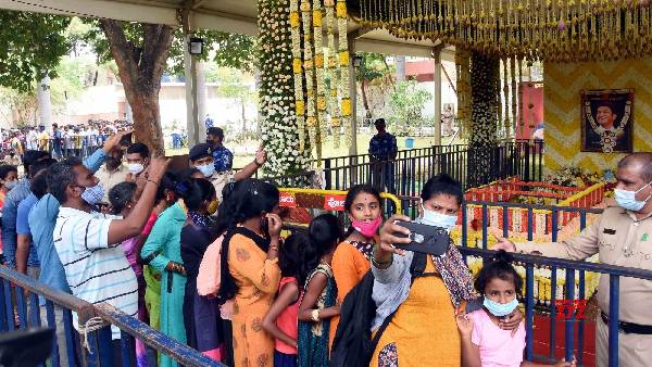 ದೊಡ್ಮನೆಯಿಂದ ಅಭಿಮಾನಿಗಳಿಗೆ ಸಸಿ ವಿತರಣೆ! 