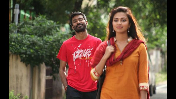 ನಟಿ ಅಮಲಾ ವಿಚ್ಛೇದನಕ್ಕೆ ಧನುಷ್ ಕಾರಣ? 