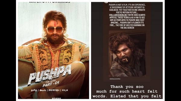 ಪುಷ್ಪ ಸಿನಿಮಾ ಅಲ್ಲ, ಅದು ಭಾವನೆ: ಅರ್ಜುನ್ ಕಪೂರ್! 