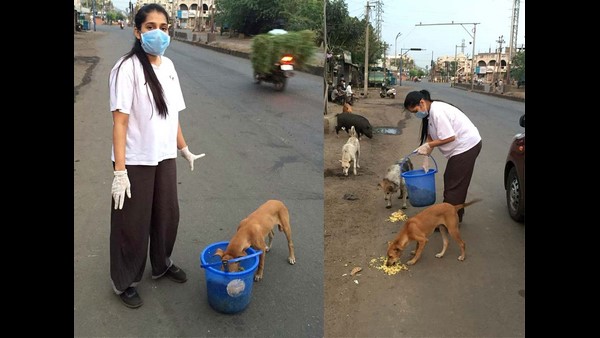 ಬೀದಿನಾಯಿಗಳು ಮತ್ತು ಸಾಕು ಪ್ರಾಣಿಗಳಗಾಗಿ ರಶ್ಮಿ ಕೆಲಸ 