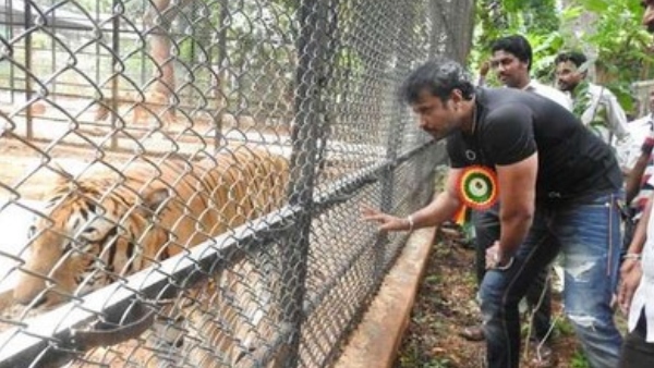 Challenging Star Darshan appointed as ambassador for zoo authority of Karnataka
