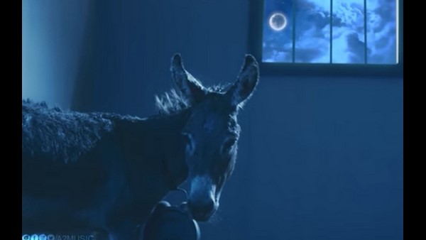 ಟ್ರೇಲರ್ ಬಹಳ ಸುಂದರವಾಗಿದೆ 