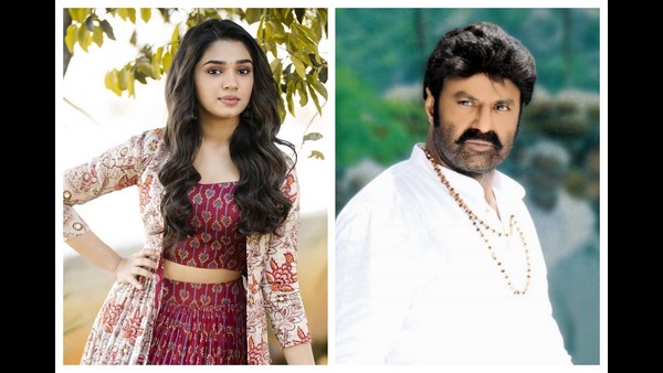 ನಂದಮೂರಿ ಬಾಲಕೃಷ್ಣ ಚಿತ್ರಕ್ಕೆ ನೋ ಎಂದ ನಟಿ ಕೃತಿ ಶೆಟ್ಟಿ! ನಂದಮೂರಿ ಬಾಲಕೃಷ್ಣ ಚಿತ್ರಕ್ಕೆ ನೋ ಎಂದ ನಟಿ ಕೃತಿ ಶೆಟ್ಟಿ!