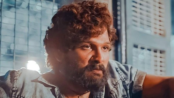  ಬಾಲಿವುಡ್ ಗಲ್ಲಾಪೆಟ್ಟಿಗೆಯಲ್ಲಿ 'ಪುಷ್ಪ' ಕಮಾಲ್ 