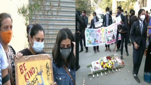 ಬೀದಿ ನಾಯಿಯ ಅಂತ್ಯಸಂಸ್ಕಾರದಲ್ಲಿ ಪಾಲ್ಗೊಂಡಿದ್ದ ರಮ್ಯಾ ಬೀದಿ ನಾಯಿಯ ಅಂತ್ಯಸಂಸ್ಕಾರದಲ್ಲಿ ಪಾಲ್ಗೊಂಡಿದ್ದ ರಮ್ಯಾ