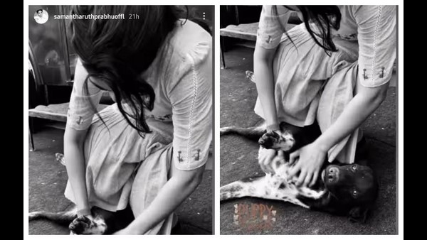 Do You Know Who Is Samanthas New Love Intrest 