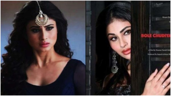 'ನಾಗಿನ್' ಧಾರಾವಾಹಿಯಿಂದ ಫೇಮಸ್ 