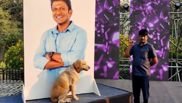  18 ಎಲ್‌ಇಡಿ ಸ್ಕ್ರೀನ್ 