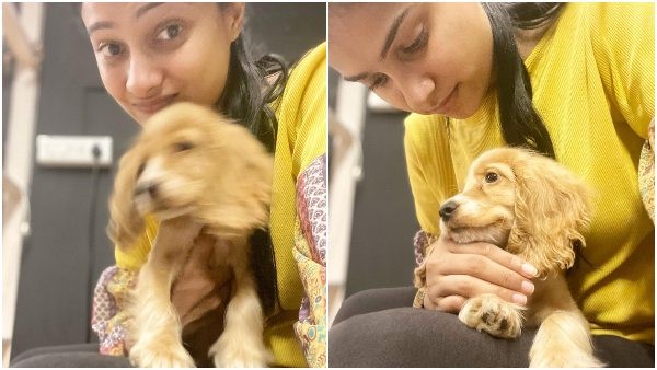 ನಾಯಿ ಕಂಡರೆ ಚಿನ್ನುಗೆ ಸಿಕ್ಕಾಪಟ್ಟೆ ಇಷ್ಟ 