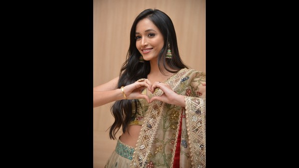 ಶ್ರೀನಿಧಿ ಶೆಟ್ಟಿ ಮುಂದಿನ ಹೆಜ್ಜೆ ಏನು?