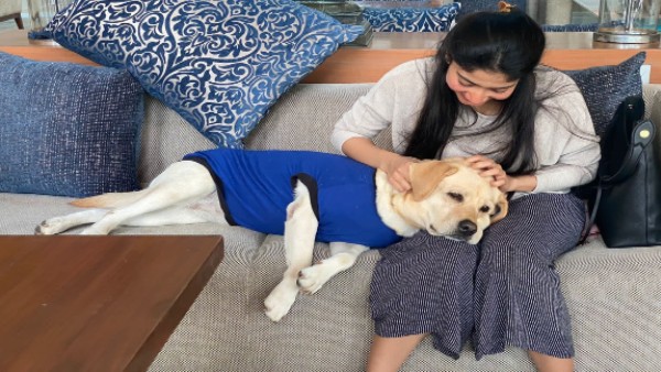 ಚಿತ್ರ ಹಂಚಿಕೊಂಡಿರುವ ಪರಂವಹಾ ಸ್ಟುಡಿಯೋಸ್