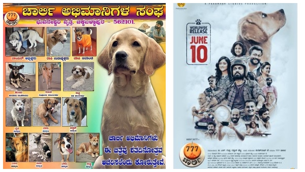 ಚಾರ್ಲಿ ನಾಯಿ ಈಗ ದೊಡ್ಡ ಸೆಲೆಬ್ರೆಟಿ! ಚಾರ್ಲಿ ನಾಯಿ ಈಗ ದೊಡ್ಡ ಸೆಲೆಬ್ರೆಟಿ!