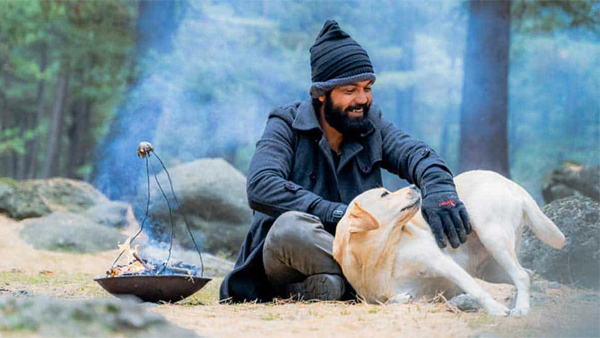 '777 ಚಾರ್ಲಿ' 10ನೇ ದಿನ ಗಳಿಸಿದ್ದೆಷ್ಟು? 