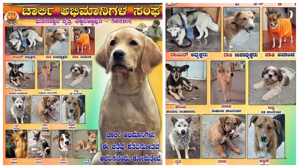 ಚಾರ್ಲಿ ನಾಯಿಗೆ, ನಾಯಿಗಳ ಅಭಿಮಾನಿ ಸಂಘ! ಚಾರ್ಲಿ ನಾಯಿಗೆ, ನಾಯಿಗಳ ಅಭಿಮಾನಿ ಸಂಘ!