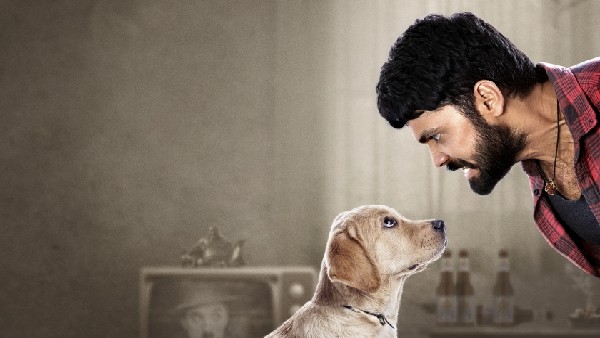 ಮೊದಲ ದಿನ '777 ಚಾರ್ಲಿ' ಗಳಿಕೆ ಎಷ್ಟು?