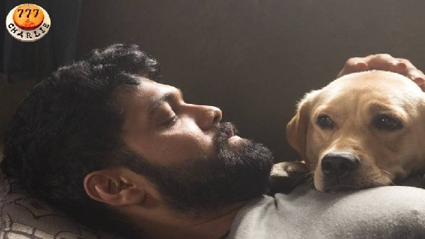 14 ದಿನಗಳ ಒಟ್ಟು ಗಳಿಕೆ ಎಷ್ಟು? 14 ದಿನಗಳ ಒಟ್ಟು ಗಳಿಕೆ ಎಷ್ಟು?