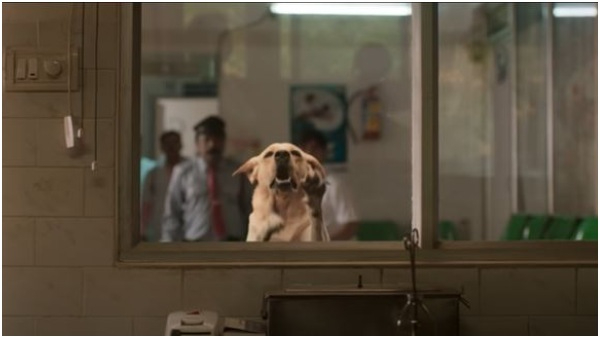 13 ದಿನಗಳಲ್ಲಿ ಕಲೆಕ್ಷನ್ ಹೇಗಿದೆ? 