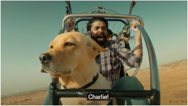 ಬೇರೆ ಬೇರೆ ರಾಜ್ಯದಲ್ಲಿ ಚಾರ್ಲಿ ಗಳಿಕೆ ಎಷ್ಟು? 