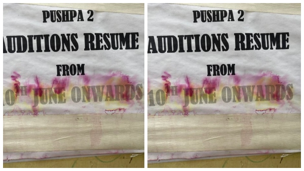 ಪುಷ್ಪ 2 ಚಿತ್ರ ಪ್ಯಾನ್ ಇಂಡಿಯಾ ಚಿತ್ರ!