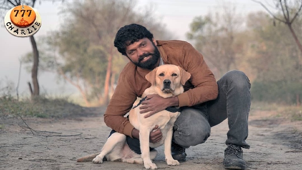 ರಕ್ಷಿತ್ ಕೈಯಲ್ಲಿ ಸಾಲು, ಸಾಲು ಸಿನಿಮಾ!