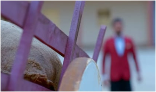 ಬೇಡವೆಂದವರೇ ಮನೆಗೆ ಬಂದು ಕೂತಿದ್ದಾರೆ 