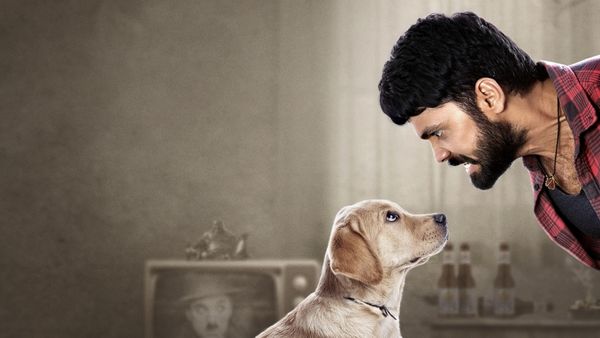 6ನೇ ದಿನದ ಚಾರ್ಲಿ ಕಲೆಕ್ಷನ್ ಎಷ್ಟು? 