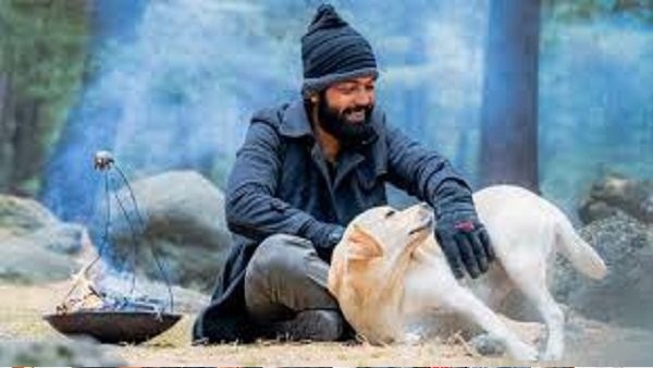 '777 ಚಾರ್ಲಿ' ಗಳಿಕೆ ಎಷ್ಟು? 