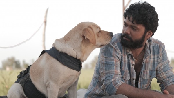 '777 ಚಾರ್ಲಿ ರಿಪೋರ್ಟ್ ಹೇಗಿದೆ? 