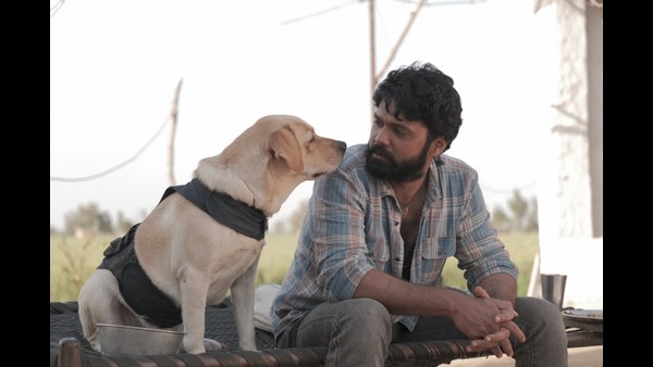 ಚಾರ್ಲಿ ಬಂಡವಾಳ ಬಂತಾ?