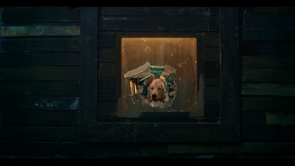 ಚಾರ್ಲಿ 6ನೇ ದಿನದ ಕಲೆಕ್ಷನ್ ಔಟ್! ಚಾರ್ಲಿ 6ನೇ ದಿನದ ಕಲೆಕ್ಷನ್ ಔಟ್!