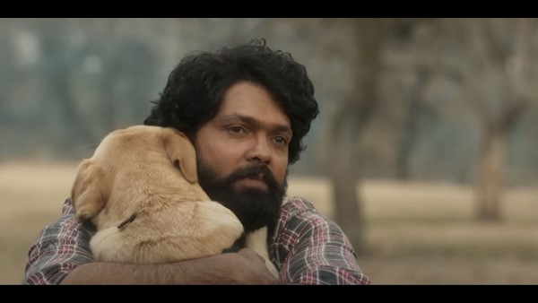 '777 ಚಾರ್ಲಿ' 6 ದಿನದ ಗಳಿಕೆ! '777 ಚಾರ್ಲಿ' 6 ದಿನದ ಗಳಿಕೆ!