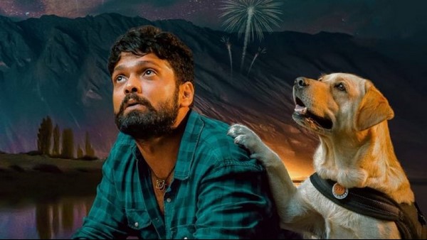 '777 ಚಾರ್ಲಿ' ವಿಶ್ವದಾದ್ಯಂತ ಗಳಿಕೆ ಲೆಕ್ಕಾಚಾರ! '777 ಚಾರ್ಲಿ' ವಿಶ್ವದಾದ್ಯಂತ ಗಳಿಕೆ ಲೆಕ್ಕಾಚಾರ!