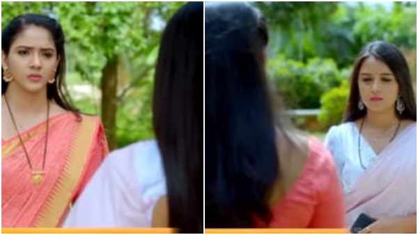 ಪರಿ ಇಬ್ಬರನ್ನೂ ಮತ್ತೆ ಒಂದು ಗೂಡಿಸುತ್ತಾಳಾ? 