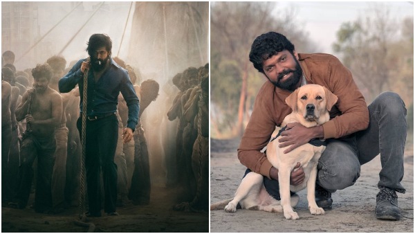 'ಕೆಜಿಎಫ್ 2', 'ಚಾರ್ಲಿ' ಲಾಭ ಬಂತಂತೆ 'ಕೆಜಿಎಫ್ 2', 'ಚಾರ್ಲಿ' ಲಾಭ ಬಂತಂತೆ