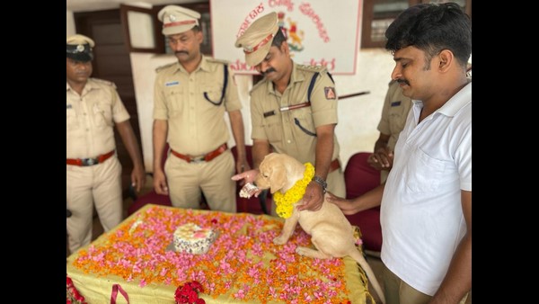 ಸಿಬ್ಬಂದಿ ಆಸೆಯಂತೆ ಚಾರ್ಲಿ ಅಂತ ಹೆಸರು 