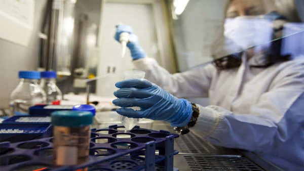 ವಿಜ್ಞಾನಿಗಳ ಪ್ರಯೋಗದಿಂದ ಸ್ಪೂರ್ತಿ